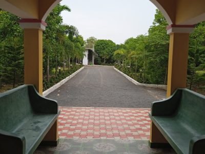 Paradise Forest Resort