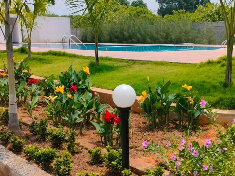 Paradise Forest Resort