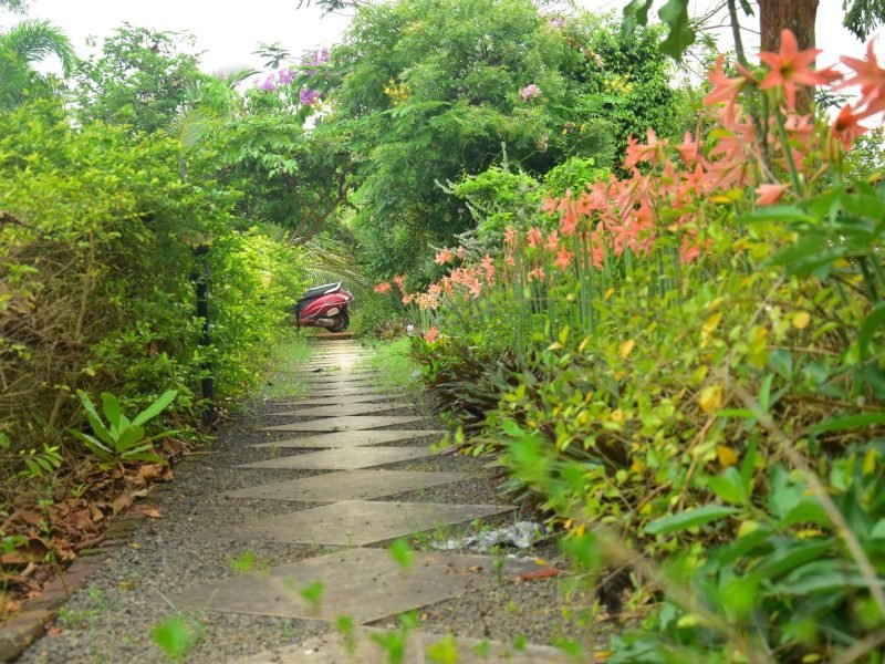 Paradise Quest Nature farm house