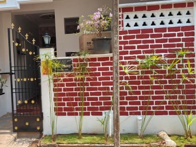 Paradise Whitetown Home stay